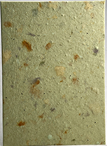 #75s - Recycled Green Lotka