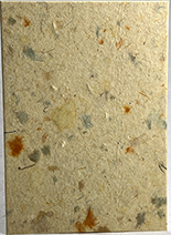 76s - Yellow Cotton/Lotka