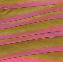 silk dyed ribbon 011