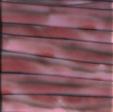 silk dyed ribbon 039