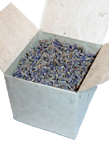 Seed Box filled with Lavender