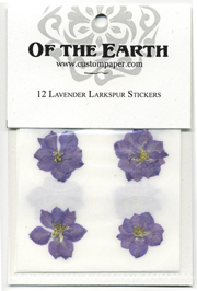 Lavender Larkspur 12pk