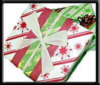 New Holiday Seeded Gift Wrap