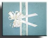 Spruce Seeded Gift Wrap